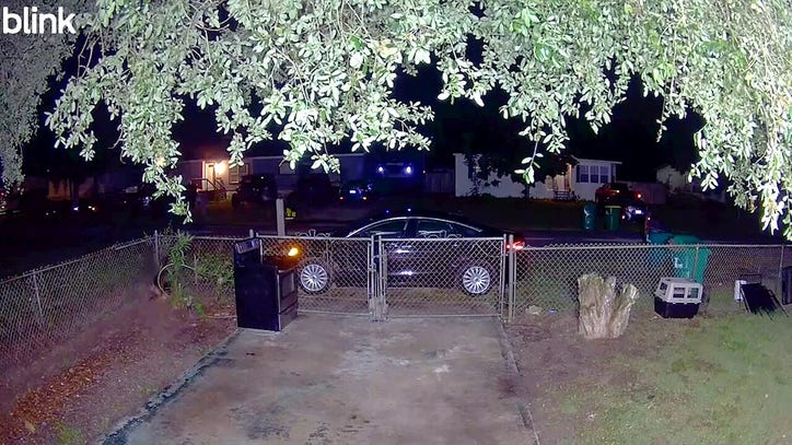 Florida woman mauled in dog attack