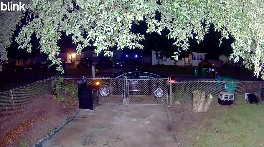 Florida woman mauled in dog attack