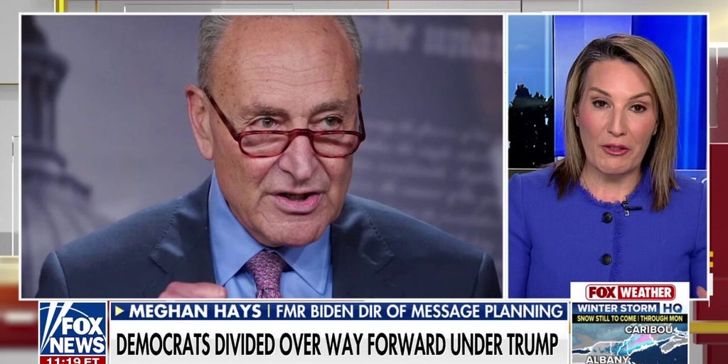 Chuck Schumer should have an 'exit strategy,' former Biden adviser says