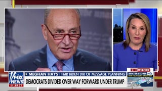 Chuck Schumer should have an 'exit strategy,' former Biden adviser says