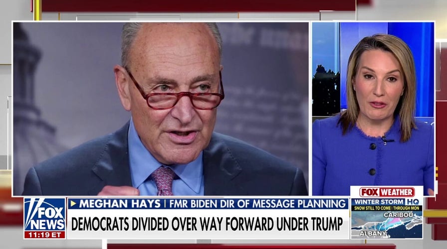 Schumer should have 'exit strategy,' former Biden adviser says