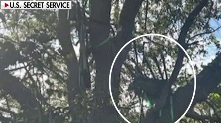  FBI probes hunting stand with sight line to Trump Air Force One