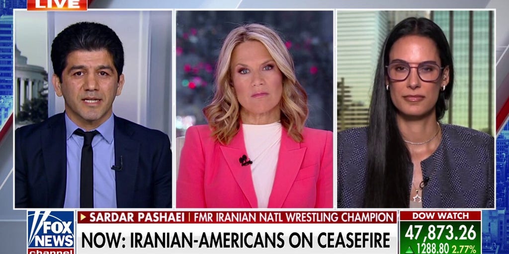President Trump was speaking in a language this regime understands, Iranian-American says