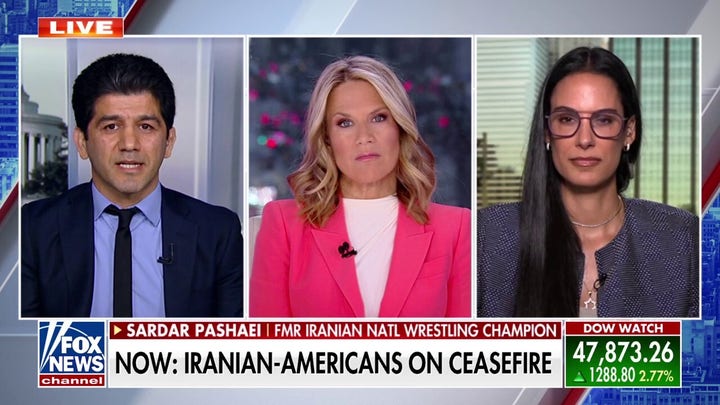 President Trump was speaking in a language this regime understands, Iranian American says