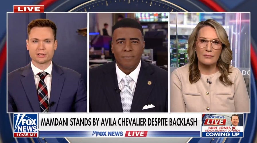 Luke Ball: Democratic Party is 'rudderless,' shifting towards socialism