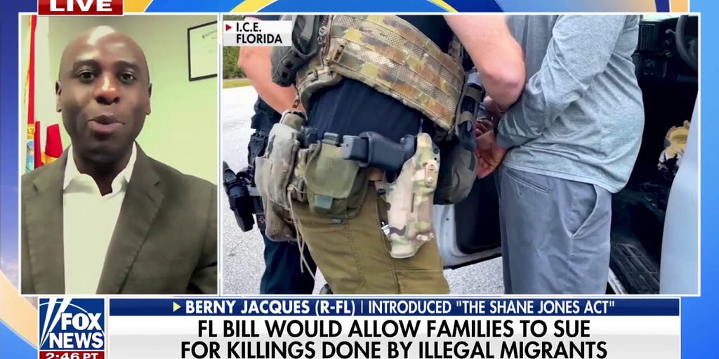 Florida lawmaker pushes ‘Shane Jones Act’ to let families sue over illegal migrant crime