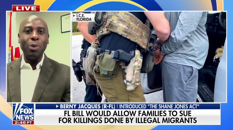 Florida lawmaker proposes bill allowing families to sue over crimes committed by illegal immigrants