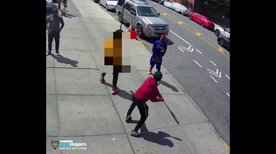 Bat attack caught on camera in broad daylight