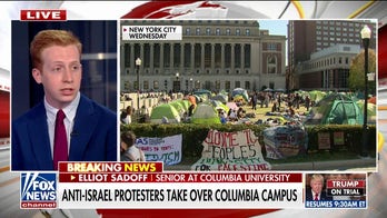 Columbia student slams widespread anti-Israel protests: 'The mob is ruling campus'