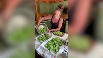 Homestead harvest shows why broccoli freezes well and syrup takes work