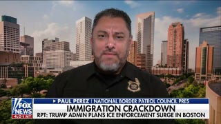 National Border Patrol Council president points to 'dangerous rhetoric' amid surge of violence on enforcement