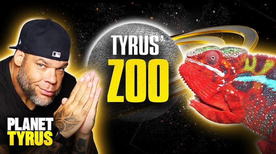 Tyrus' Home Zoo: Raising The World's RAREST Reptiles! | Planet Tyrus