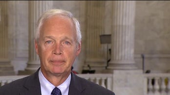 Sen. Ron Johnson: 'Democrats must be held accountable in November 2022'