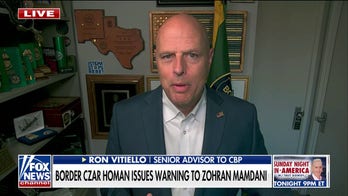 Trump is in 'full effect' at the southern border, says former ICE director