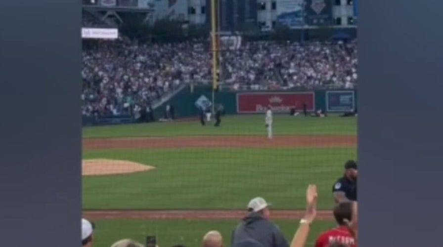 Protesters storm field at Congressional Baseball Game