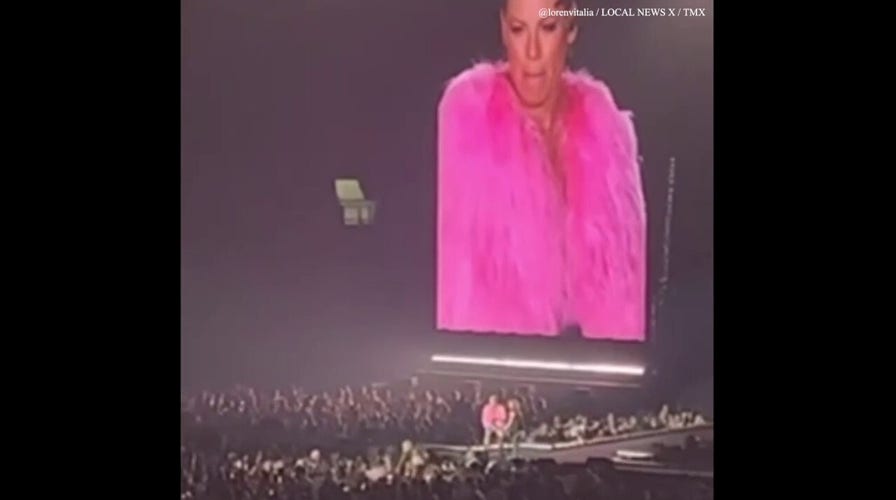 Singer Pink kicks out protester at San Antonio, Texas concert