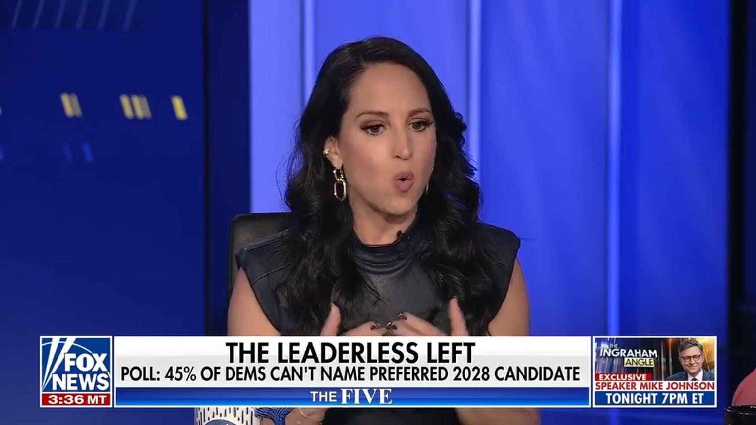 Emily Compagno: Dems are competing to be the 'face of resistance'