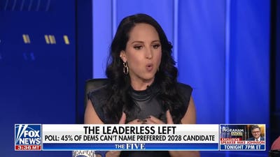 Emily Compagno: Dems are competing to be the 'face of resistance'