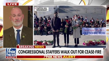 Retired Navy SEAL condemns ‘wholly inappropriate’ Gaza cease-fire protest by congressional staffers