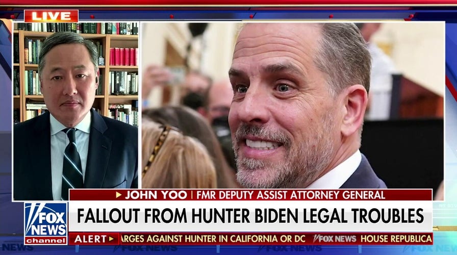 DOJ using gun charge to ‘distract everybody’: John Yoo