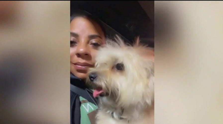 Atlanta family recovers stolen car with AirTag device, continues to search for family dog