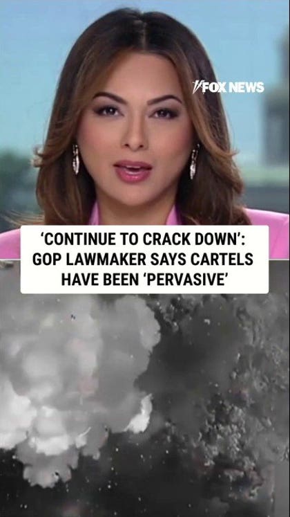 ‘CONTINUE TO CRACK DOWN’: GOP lawmaker says cartels have been ‘pervasive’
