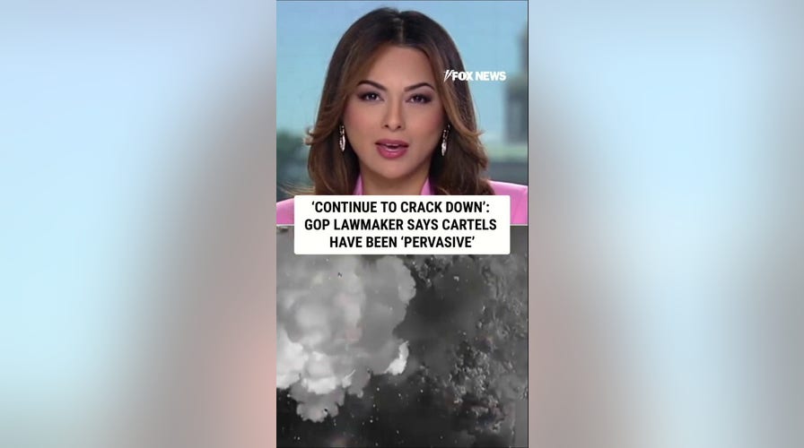 ‘CONTINUE TO CRACK DOWN’: GOP lawmaker says cartels have been ‘pervasive’