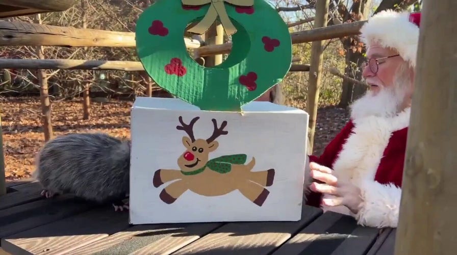 Santa visits local zoo ahead of the Christmas holiday