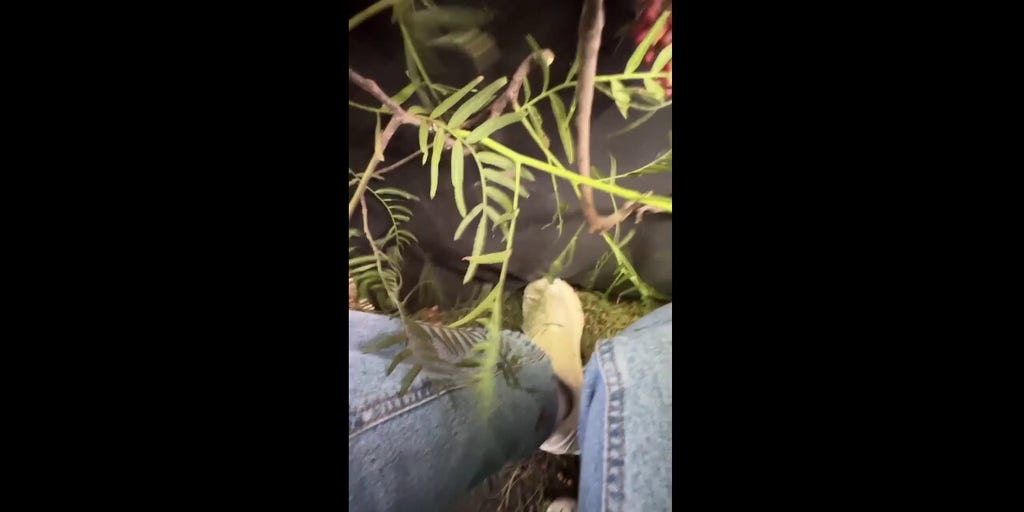 Hot-air balloon riders endure a wild and unexpected landing: See the video