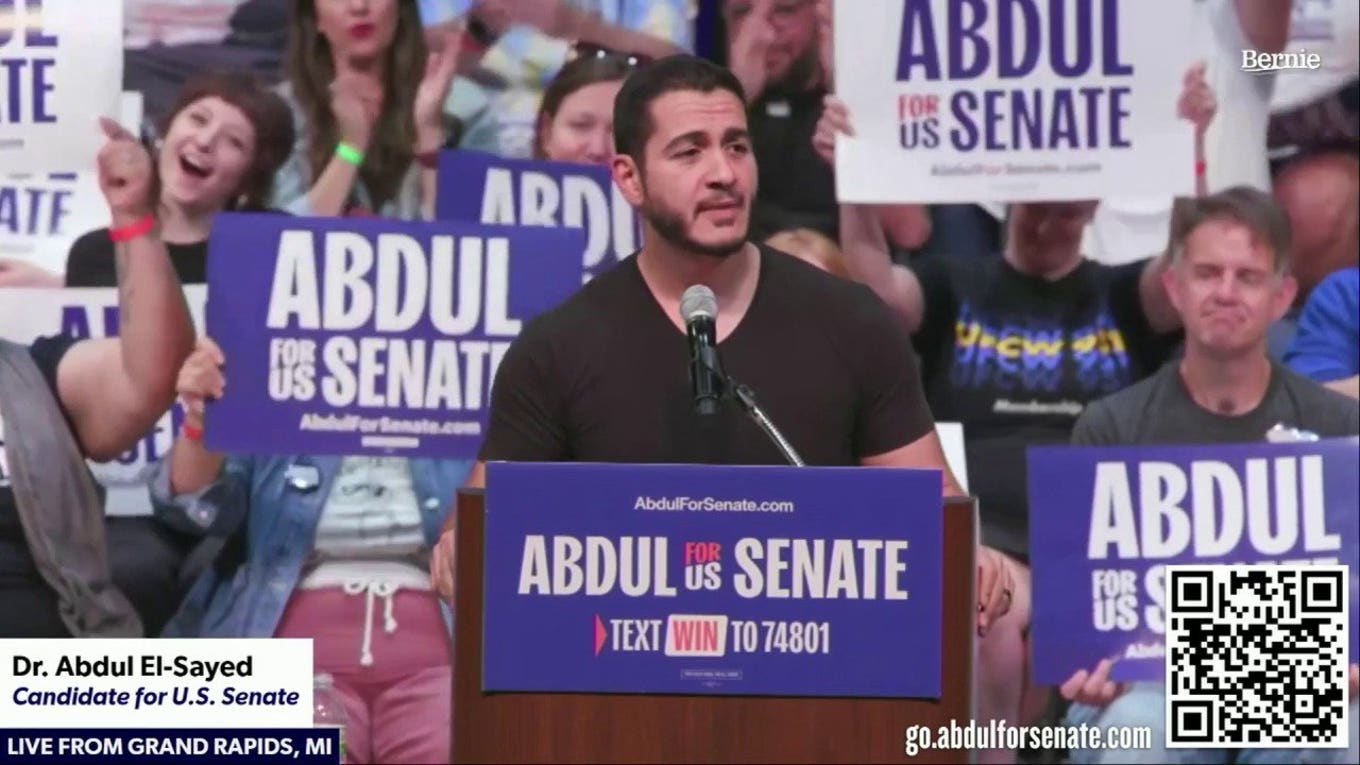 Michigan Senate hopeful declares himself 'dangerous' to ICE, and health insurers, party leaders
