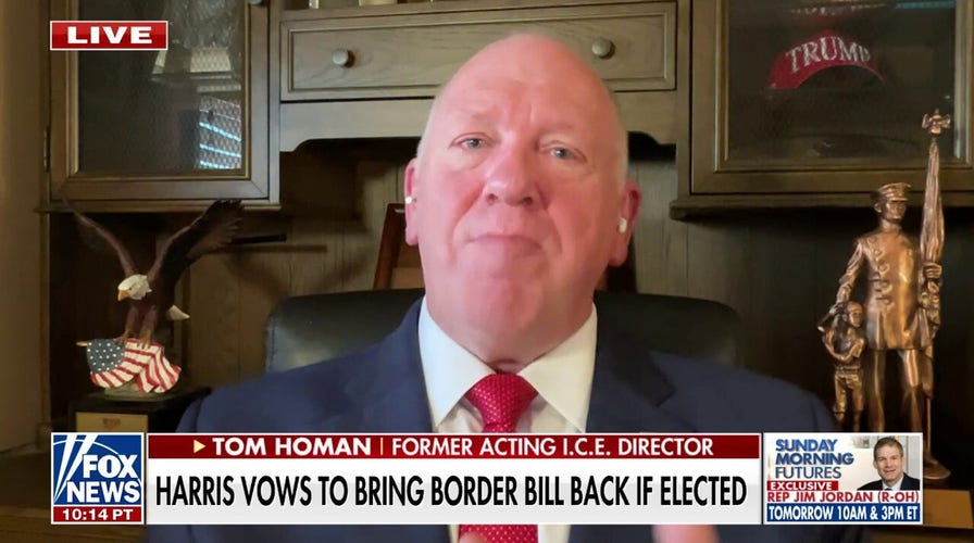 There needs to be 'consequences' for Kamala Harris for her 'failure as border czar': Homan