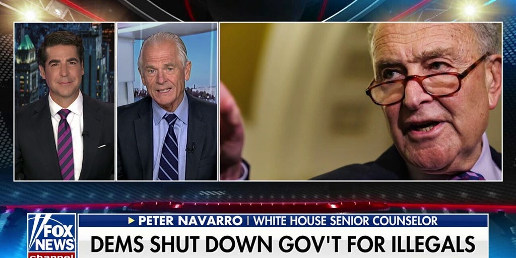 Every moderate Dem 'fears for their life': White House senior counselor