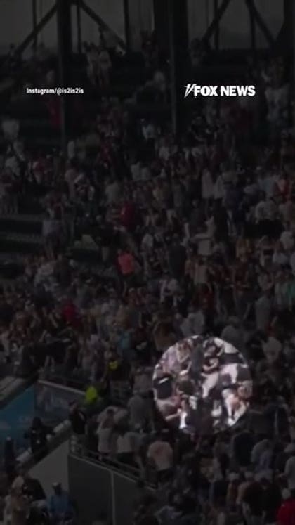 GRAPHIC WARNING: Fan leaps two rows to stomp man during WILD baseball brawl