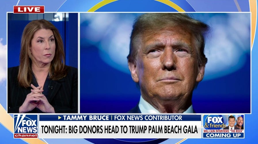 Clearly Trump has made it obvious that he's serious about being president again: Tammy Bruce