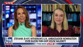 Democrats are ‘very angry’ astatine  the Trump administration, newsman  argues - Fox News