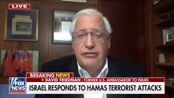 It is in Israel’s interest to save civilians in Gaza: David Friedman