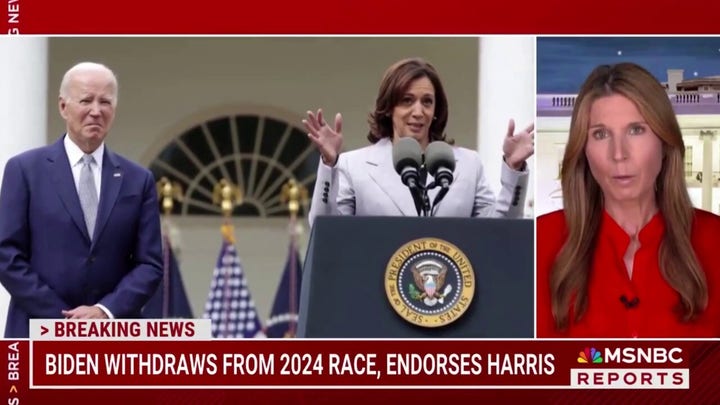 Nicolle Wallace calls for more 'political sacrifice' like Biden, urges ex-Trump officials to back Democrats