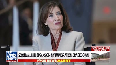 Trump slams Gov Kathy Hochul over New York's ICE partnership ban