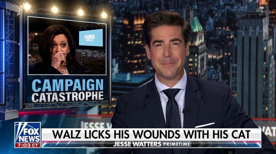 Who’s going to lead Democrats out of the ‘wilderness’?: Watters