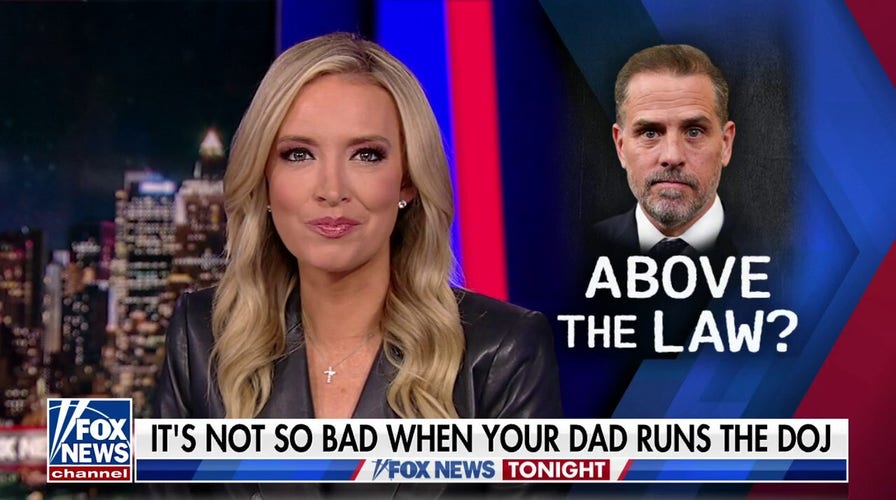 Kayleigh McEnany: If Joe wants to enforce gun laws, he should start with his son