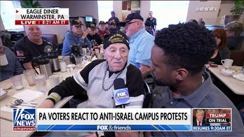 Veterans disgusted by anti-Israel protests, flag-burning: 'Disgrace' to America