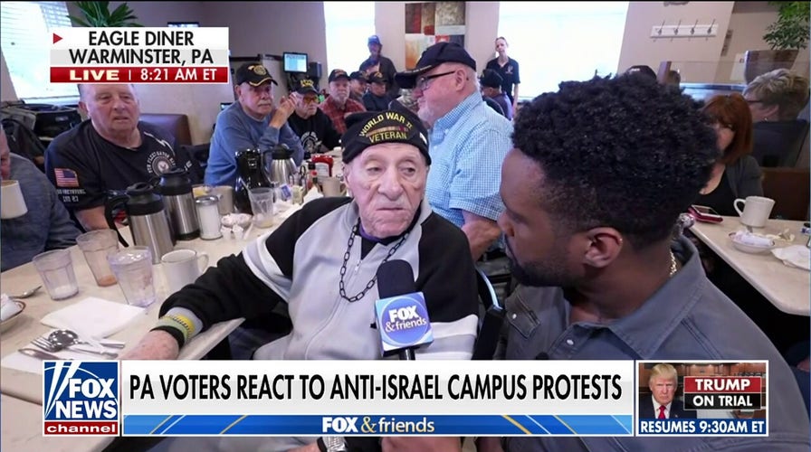 Veterans disgusted by anti-Israel protests, flag-burning: ‘Disgrace’ to America