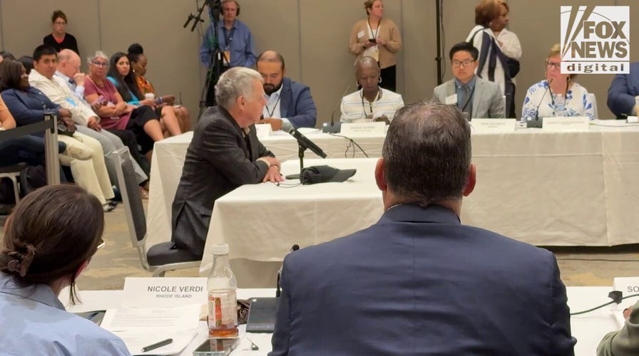  Key DNC committee approves resolution affirming DEI