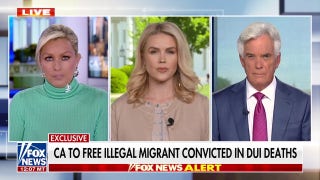 Karoline Leavitt: President Trump will not tolerate illegal immigrant crime