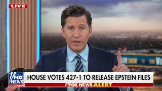 Epstein had friends ‘significantly on one side of the aisle’: Will Cain