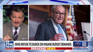 Sen. Ted Cruz reveals how long he thinks the government shutdown will last