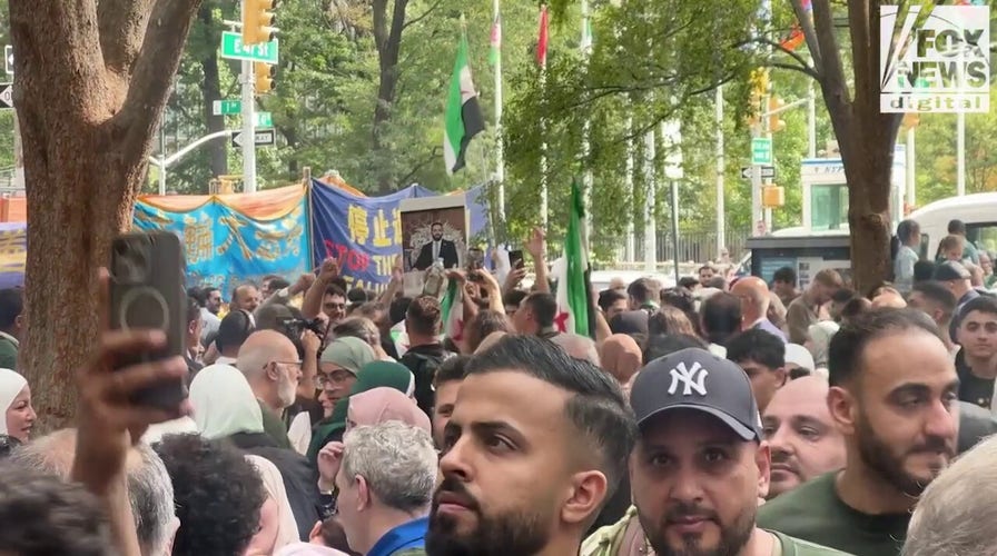 Thousands of Syrians rally outside the UN in support of the president, calling for peace 