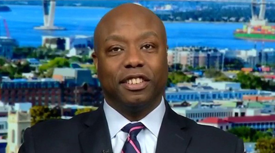 Sen. Tim Scott: President Trump will see a 50 percent increase in the African American vote