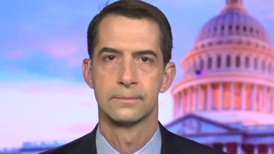 Sen. Cotton urges legal consequences for 'mob violence' against US statues
