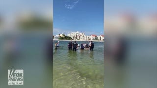 Manatee rescued after it was found stranded on coastal island - Fox News
